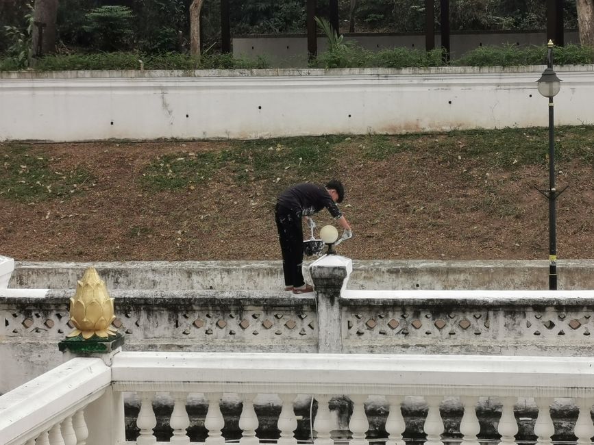 ... e il pittore mentre dipinge con competenza ... la sicurezza sul lavoro qui non è necessaria ...