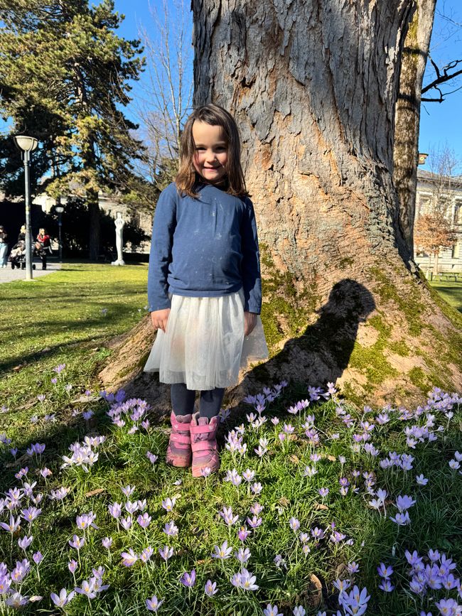 Troviamo la primavera