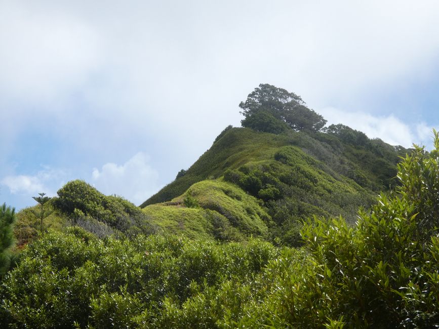 Adamstown, Pitcairn