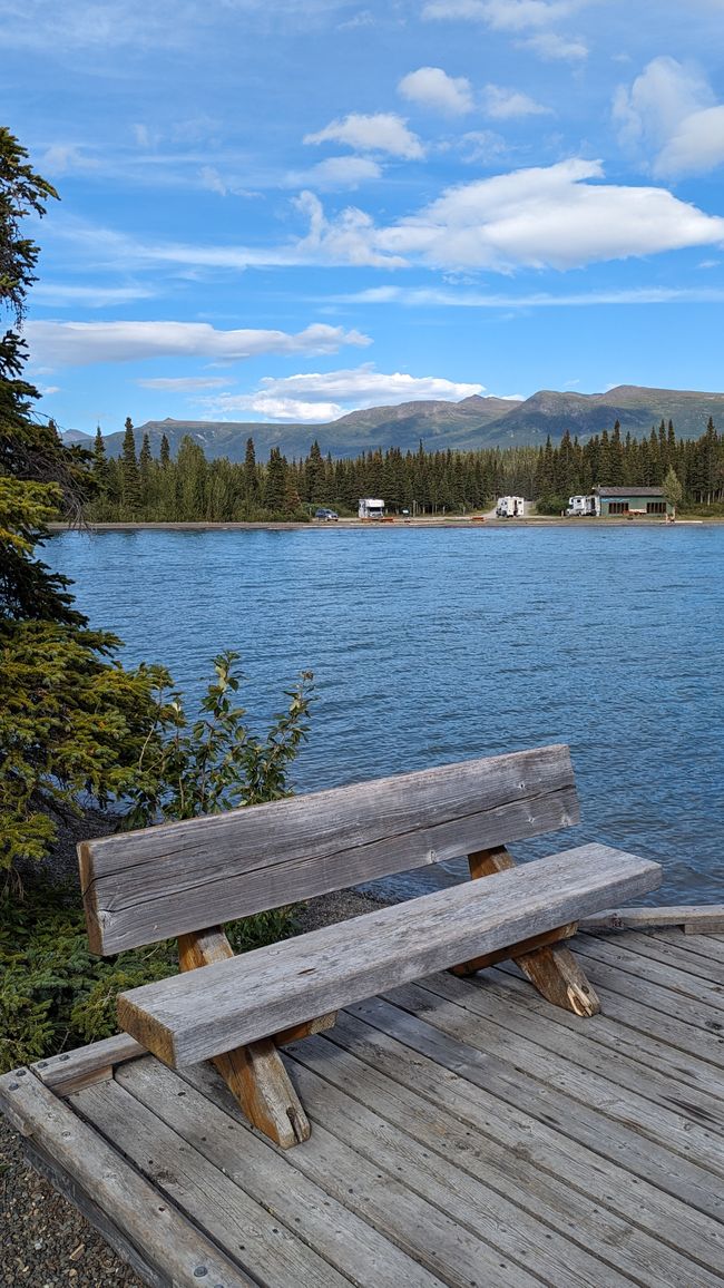 Tag 27: Bärenshow & fantastische Bergwelten - zurück nach Yukon/Kanada