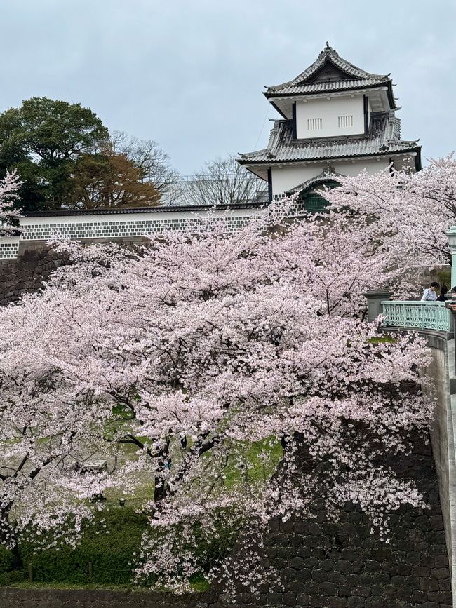 Part 8 Japan 🇯🇵 Kanazawa
