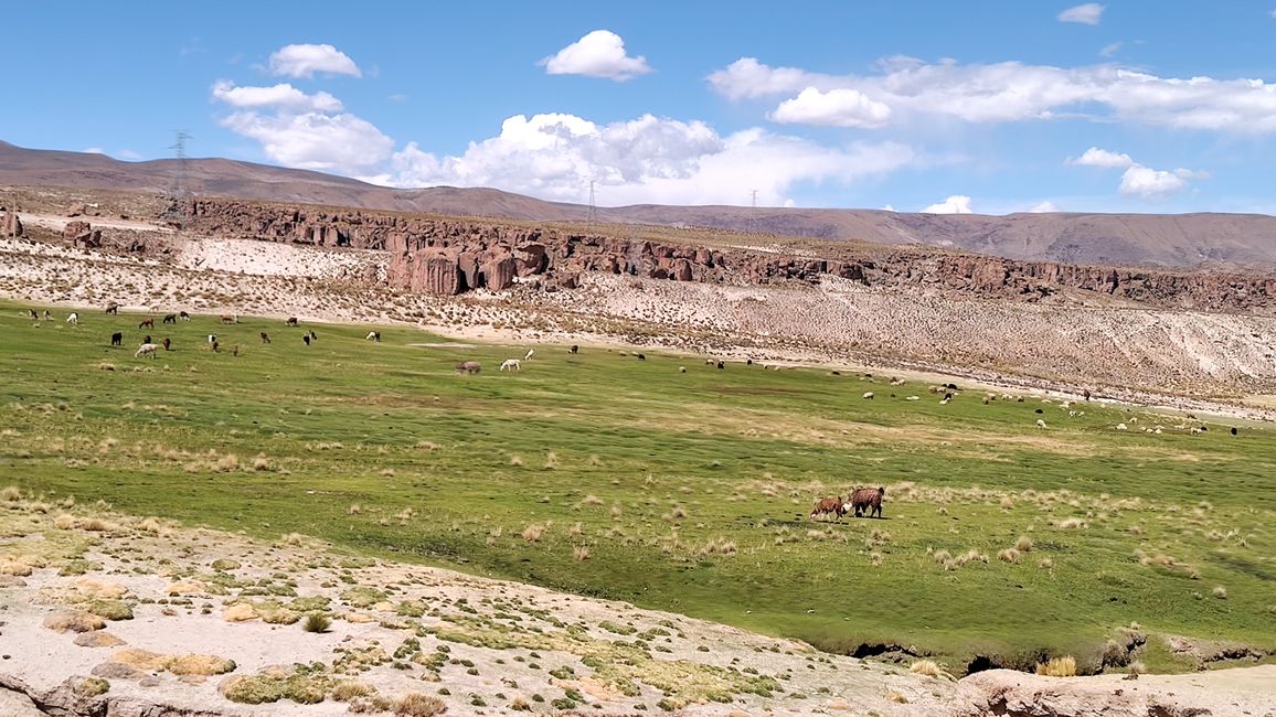Bolivia, sorgenti termali a Tacoro