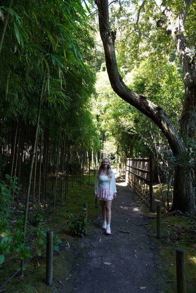 Our first day in Tokyo