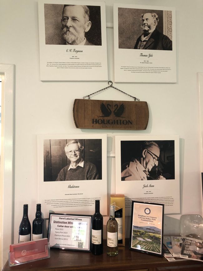 Tenuta vinicola Brookland | Houghton