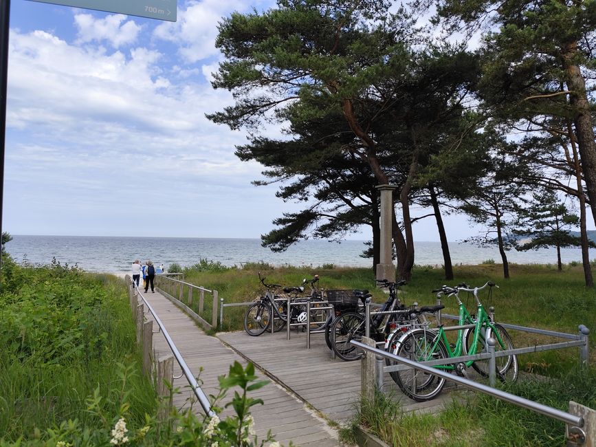 Binz