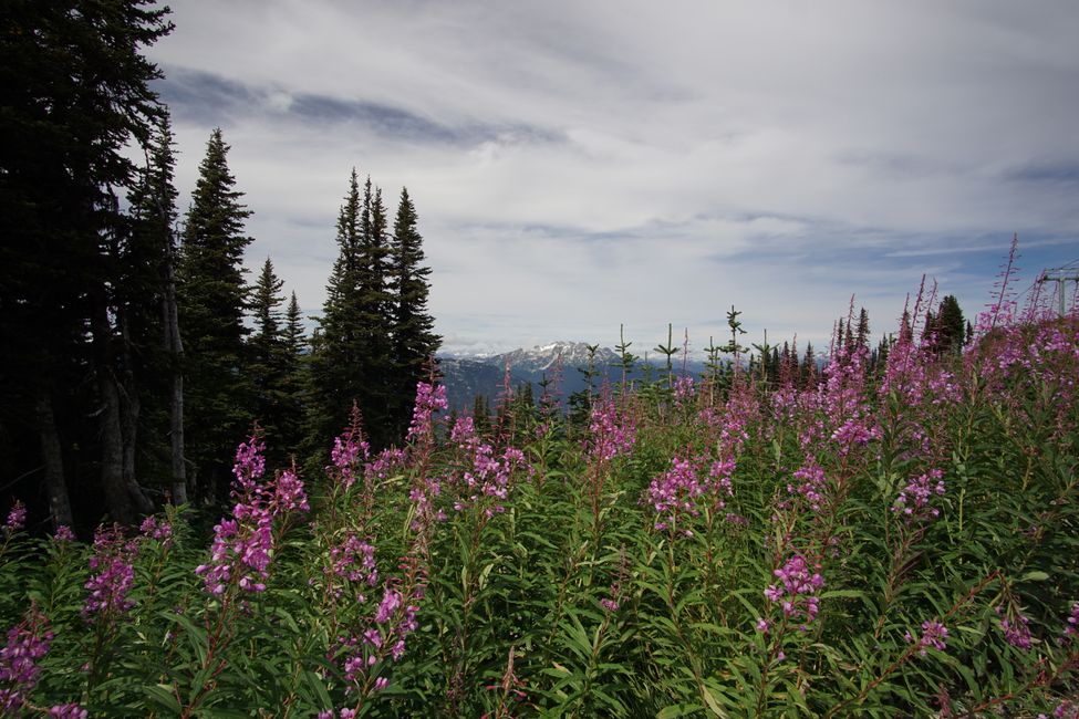 Tag 14 und 15: Whistler