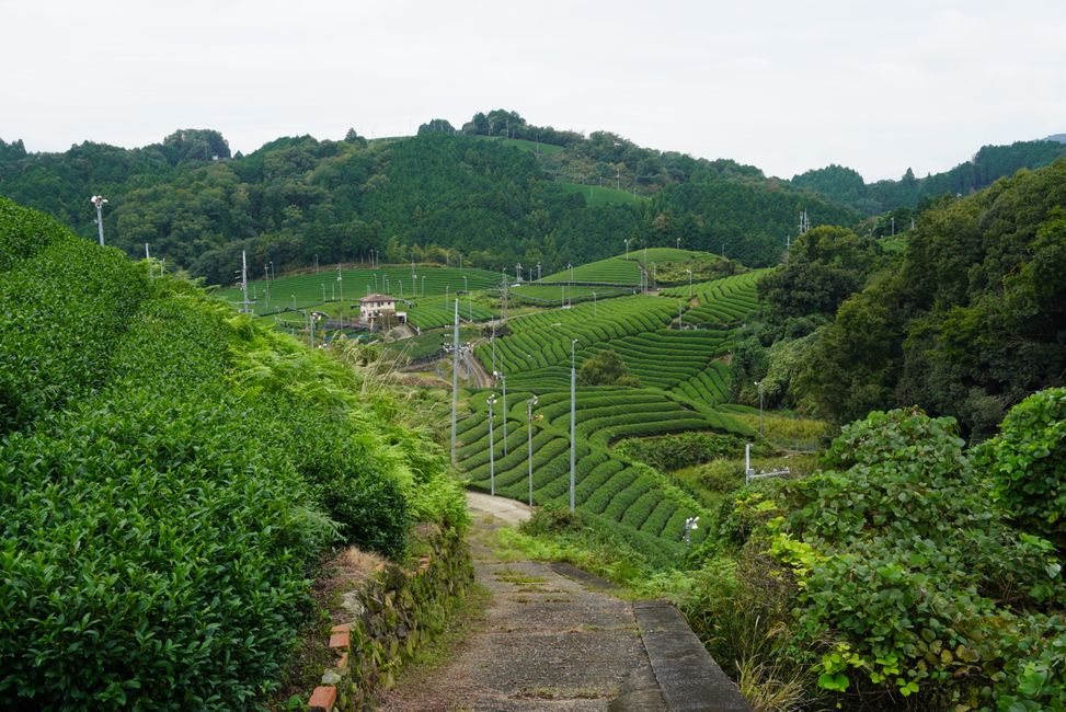 Unser Farmstay in Wazuka