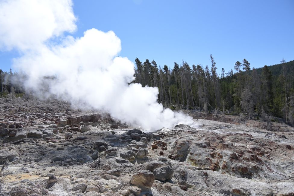 Norris Geyser Basin