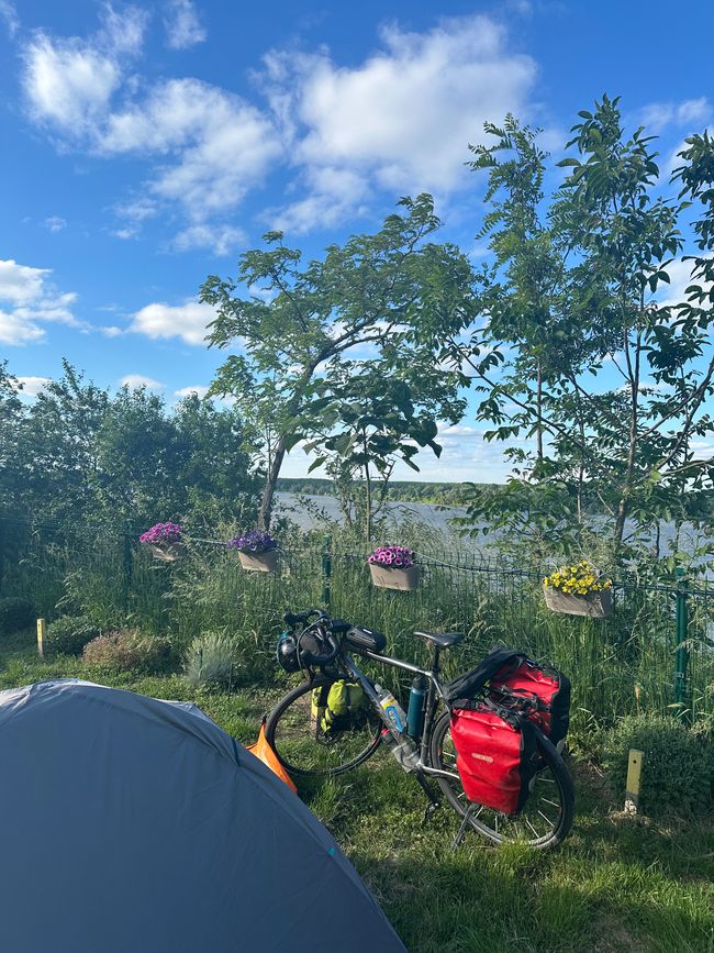 Campsite directly on the Danube 