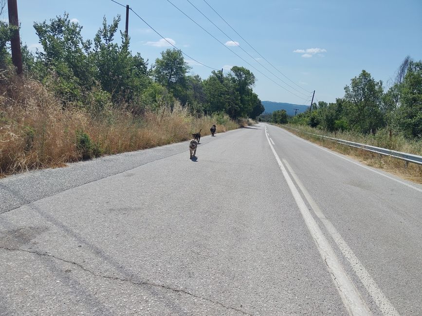 Tempo di pausa