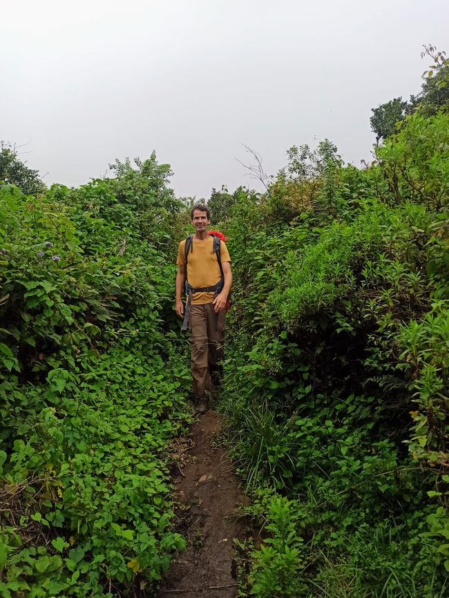 En las Montañas Usambara