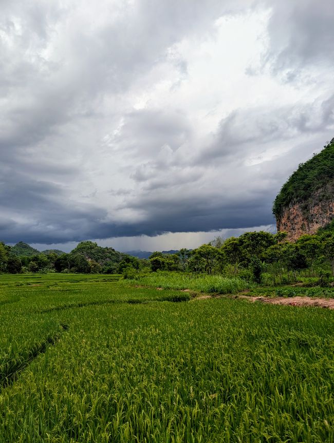 Pensamientos en verde