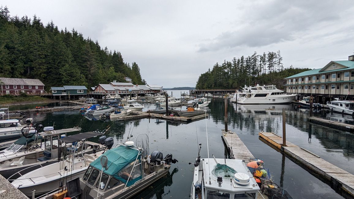 Day 11: Strathcona PP - Telegraph Cove - Alder Bay