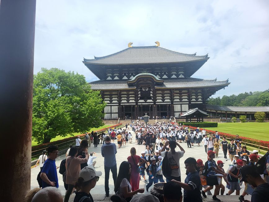Day 3 in Osaka or Nara
