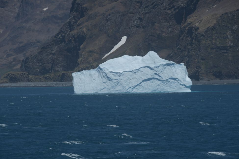 Eisberg / Iceberg