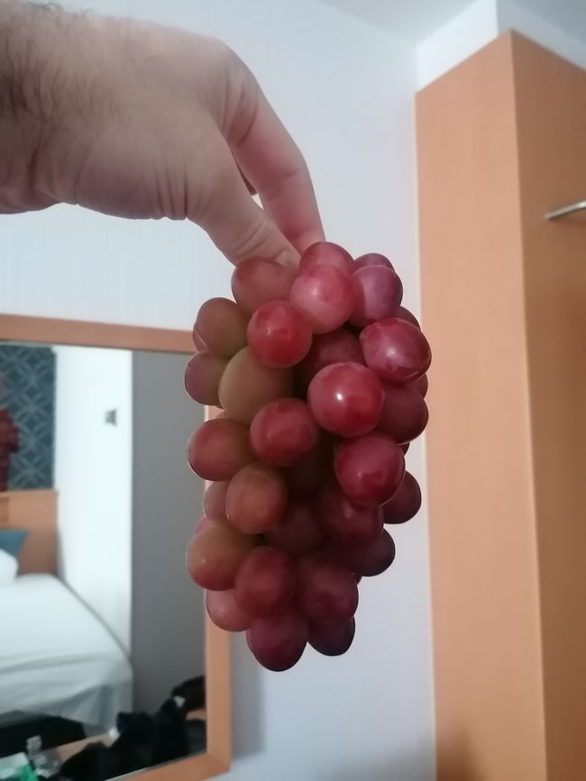 Trauben top Qualität!