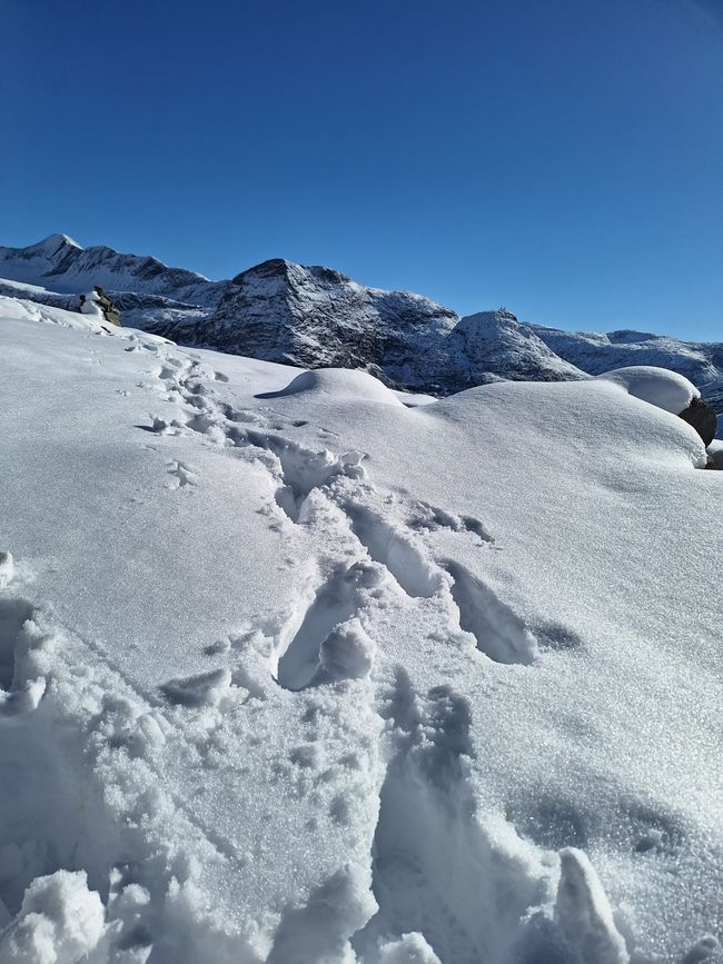 Unsere Spuren im Schnee