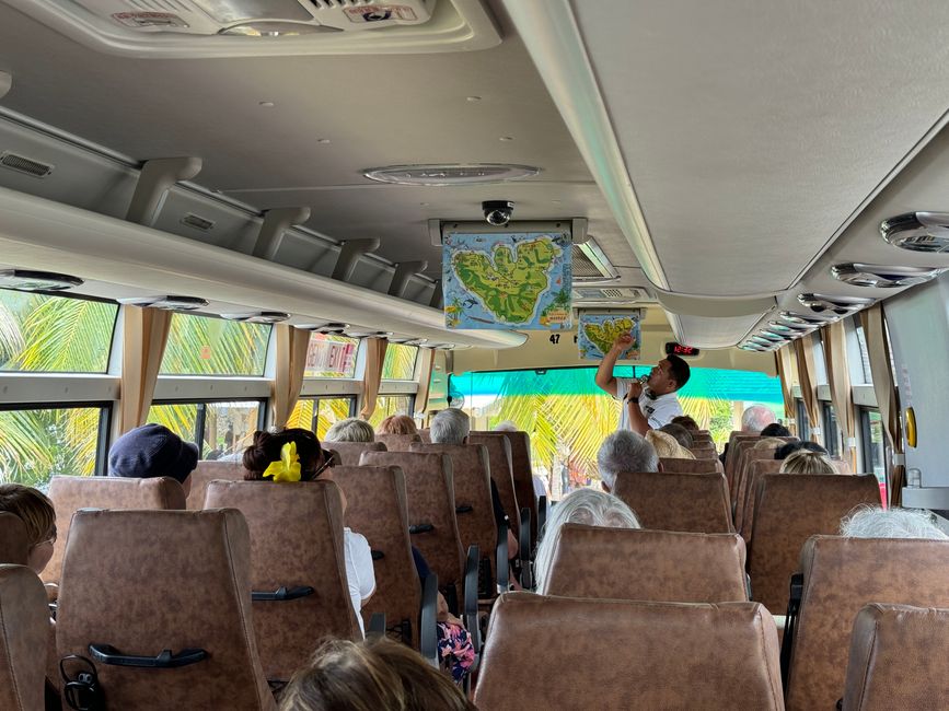 Comfortable bus tour around the island