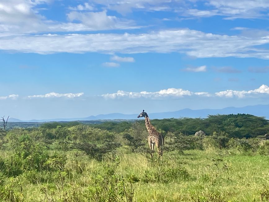 Kilimanjaro y el Parque Nacional Arusha