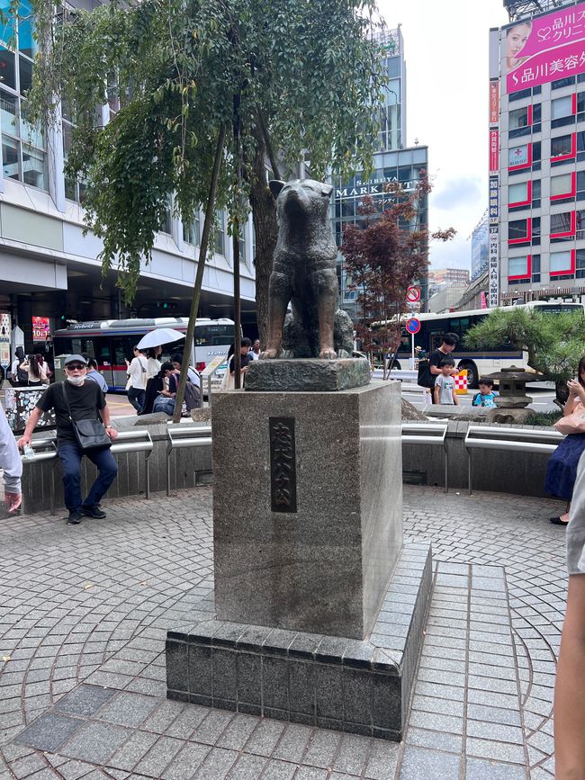 Japan (Tag 126 - 142)