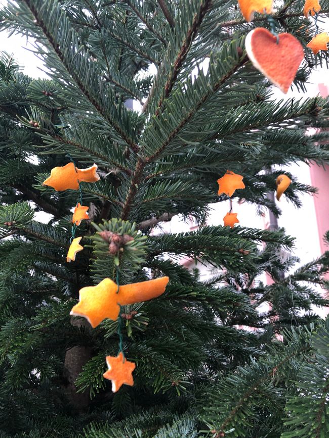 Stars made from orange peel - my favorite tree