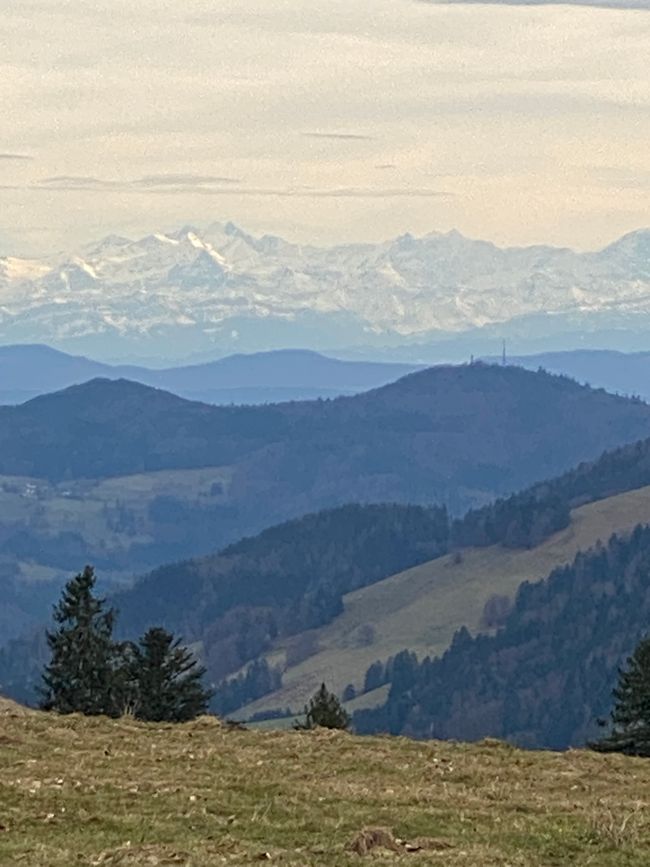 Wie schön: eine Aussicht auf schneebedekte Alpen