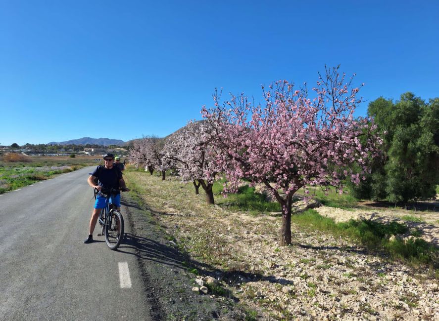 nel mezzo del mare di fiori di mandorle