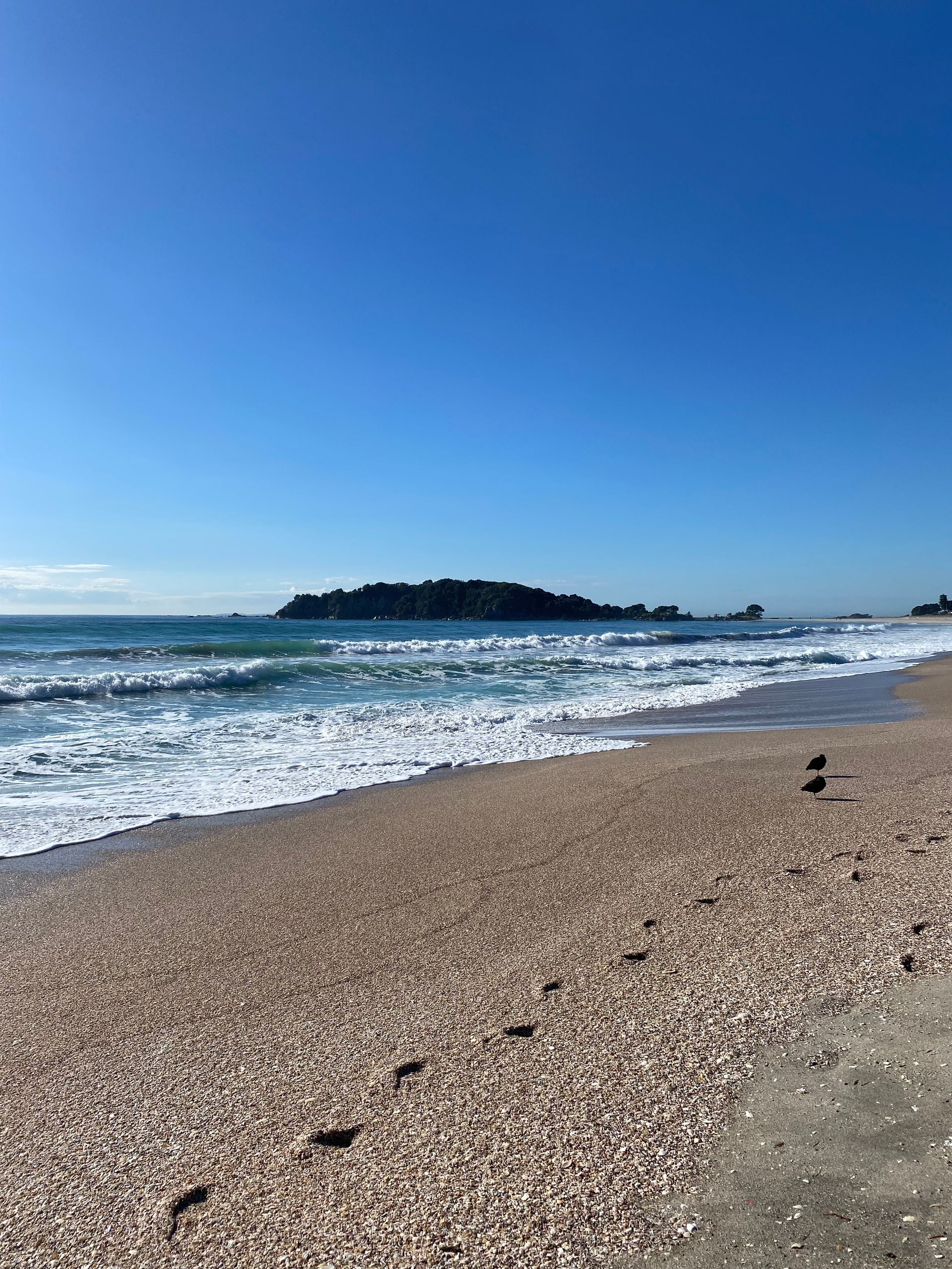 海滩景观