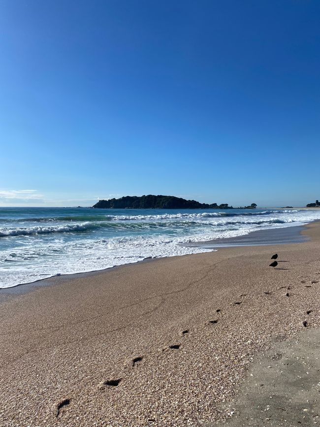 海滩景观