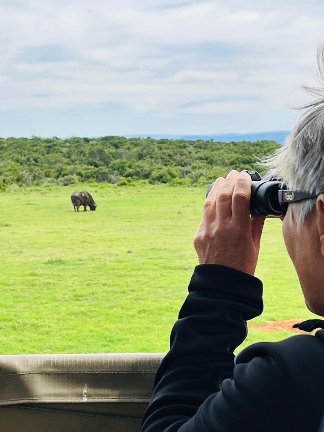 Addo Elephant Park