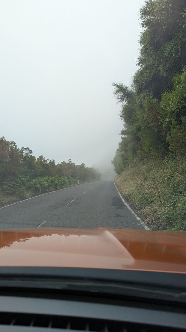 Tag 10: Levada das 25 Fontes und Risco & Feenwald