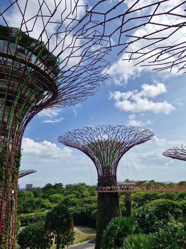 Gardens by the Bay