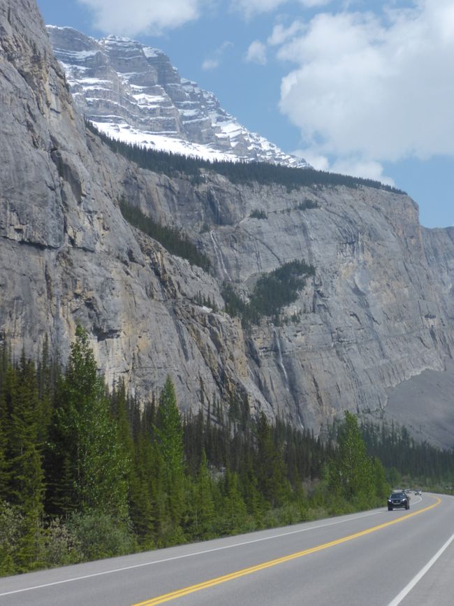 2025-06-19 sur l'Icefields Parkway de Jasper à Lake Louise, CA