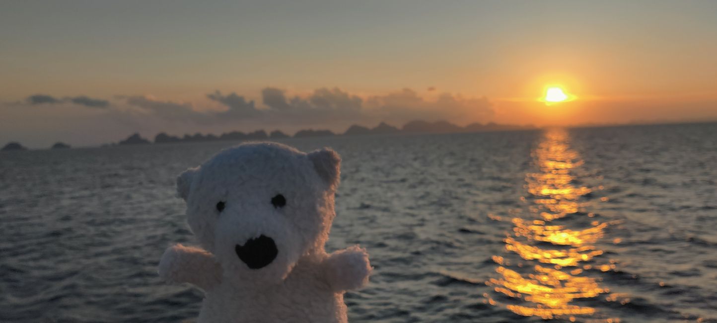 Travis auf Tauchsafari in Raja Ampat