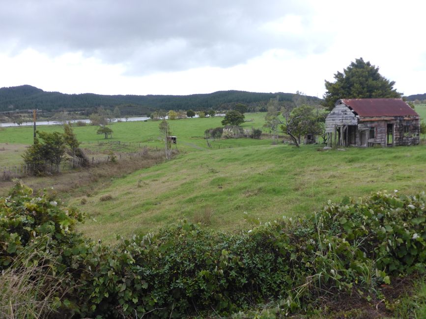 2025-04-15 Dargaville