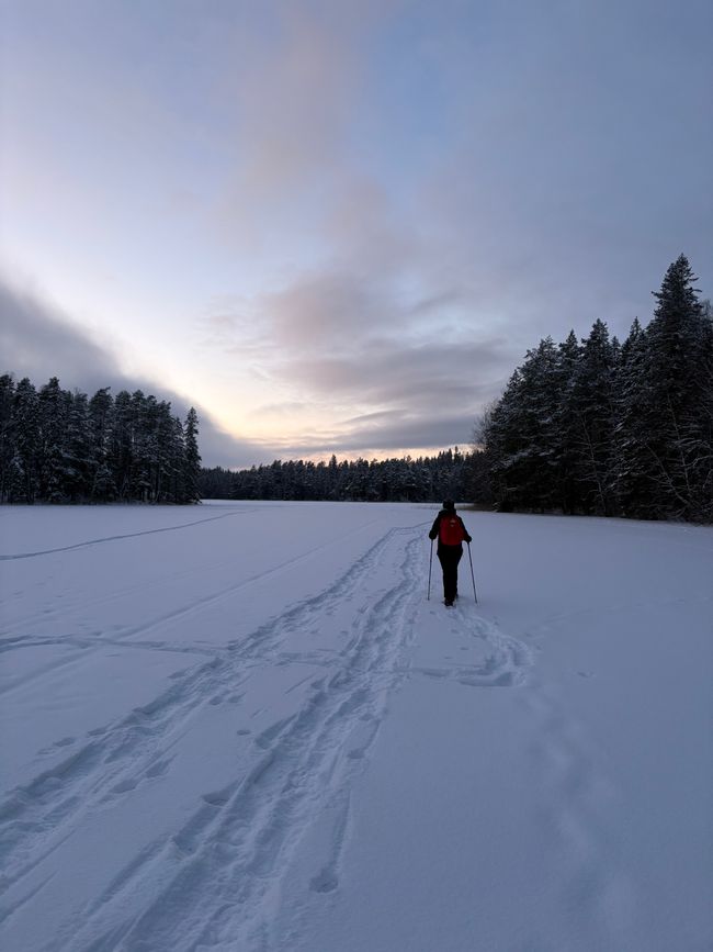 The Finnish way