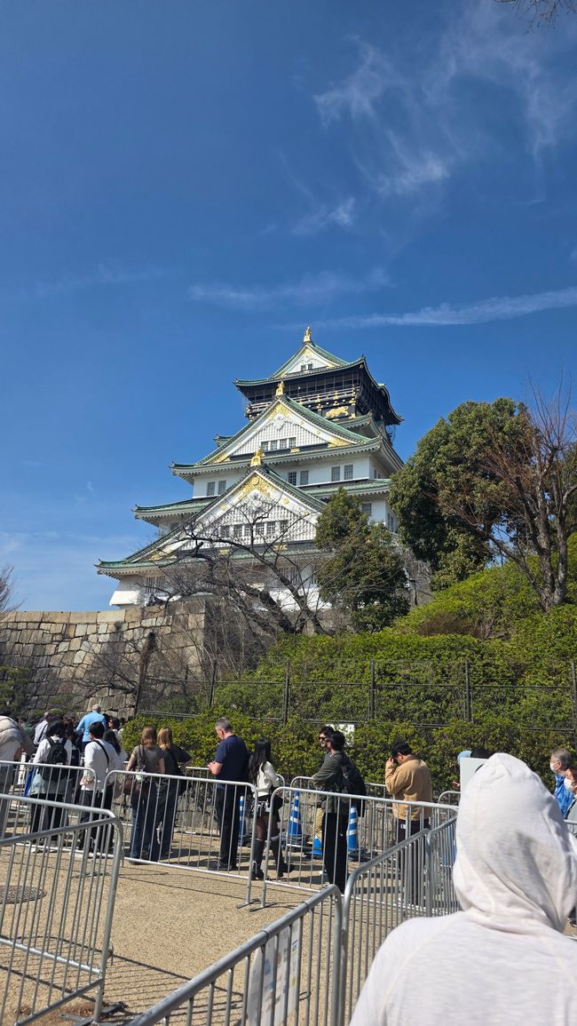 Osaka 'kuidaore' ➡️ mangiare fino a cadere