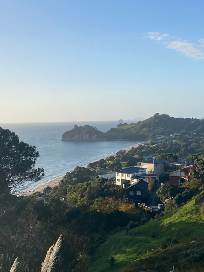 Coromandel loop