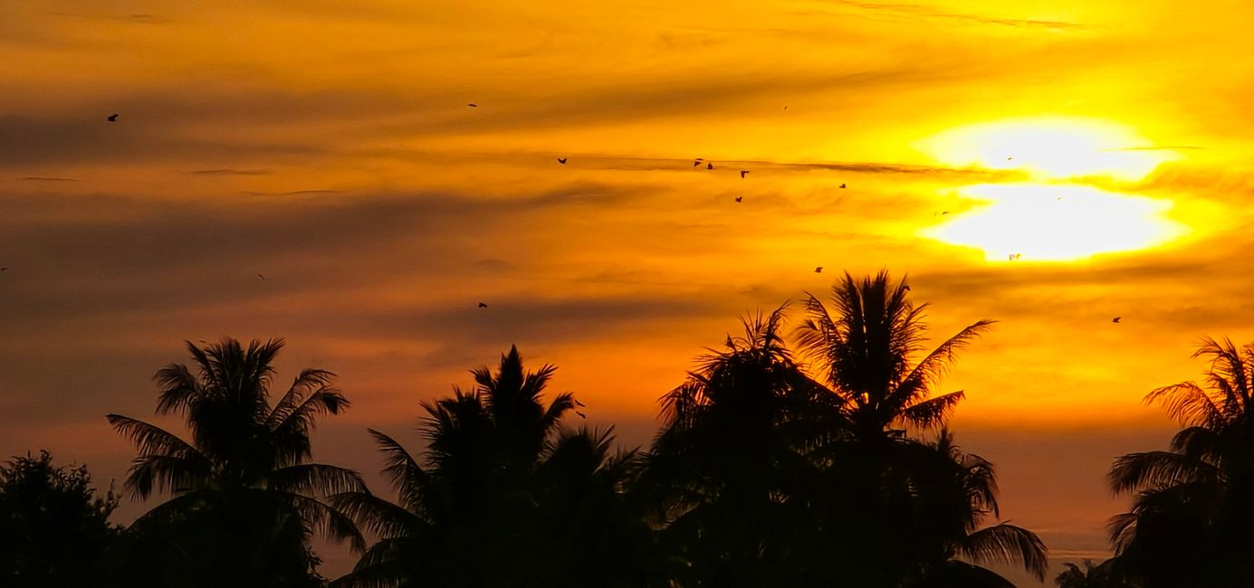 Langkawi - Reif für die Insel!