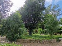 La Romana / Dom. Republik