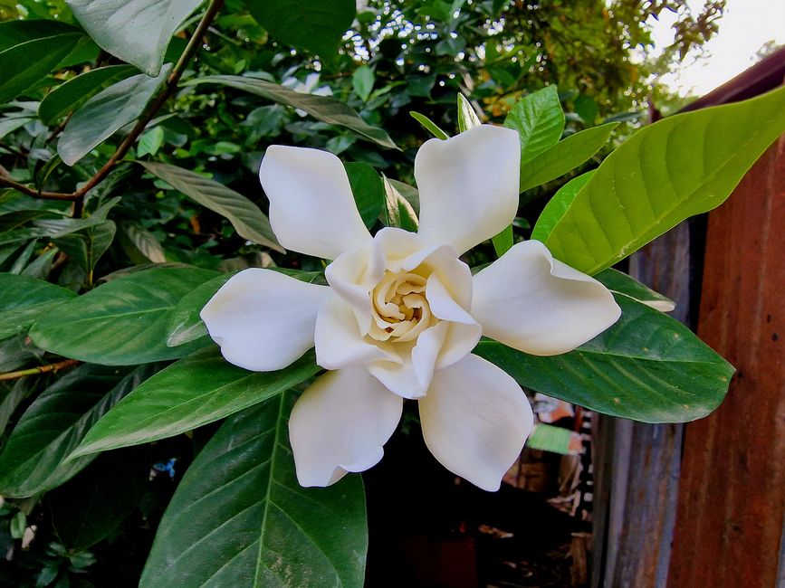 Luang Prabang - worauf kommt es an?