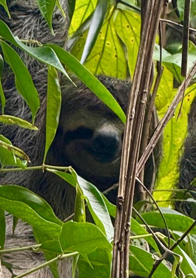 Unterwegs in Costa Rica
