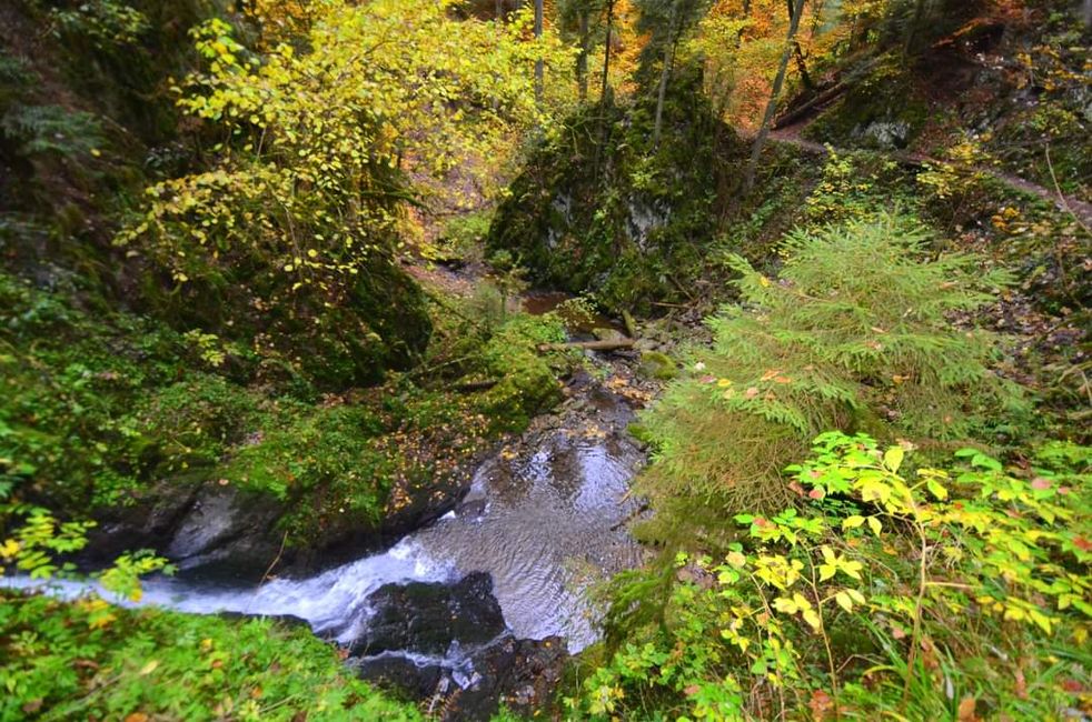 Senderismo de otoño en el Wutachschlucht: rojo, amarillo, naranja... ¡y tú en medio!