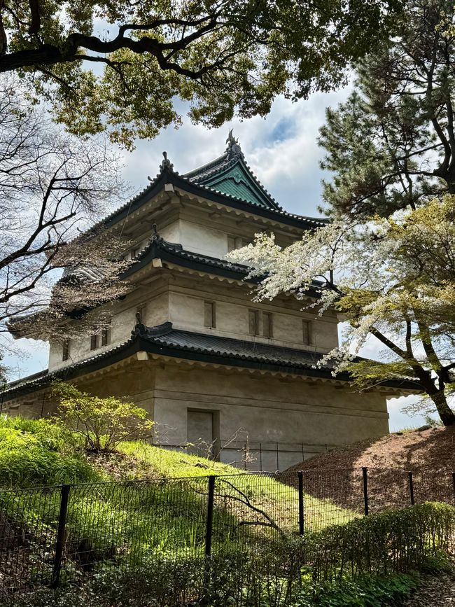 Parte 7
BENVENUTO IN GIAPPONE 🇯🇵
TOKYO