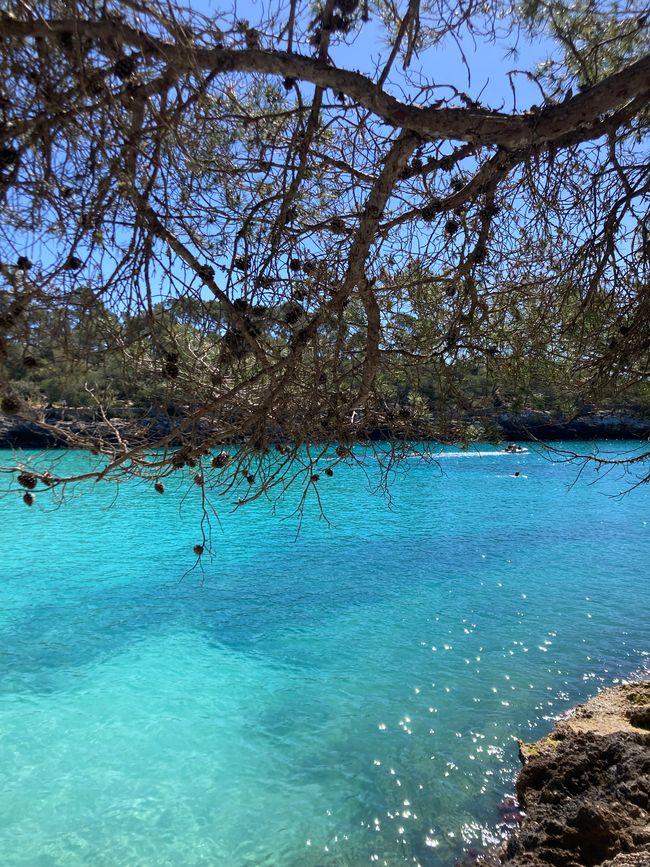 Cala Mondrago-es wird angebadet