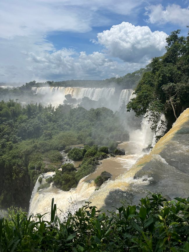 Wenn Träume wahr werden