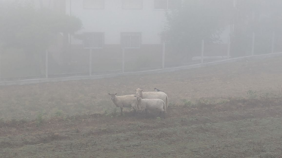 Sixth Stage of the Camino Portugues da Costa from A Guarda to Viladeduso