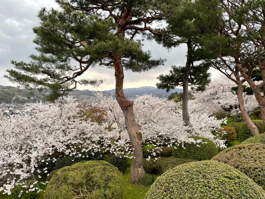 Kenrokuen Garten
