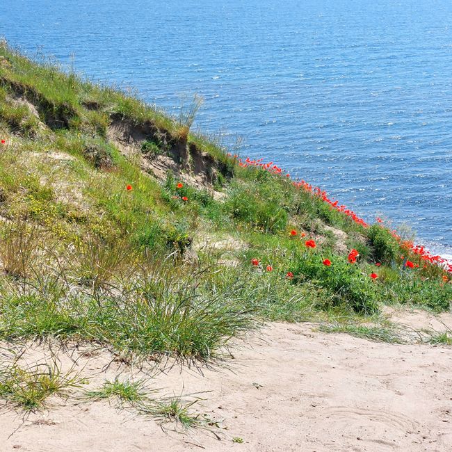 Südschweden-Tour  - Tag 4