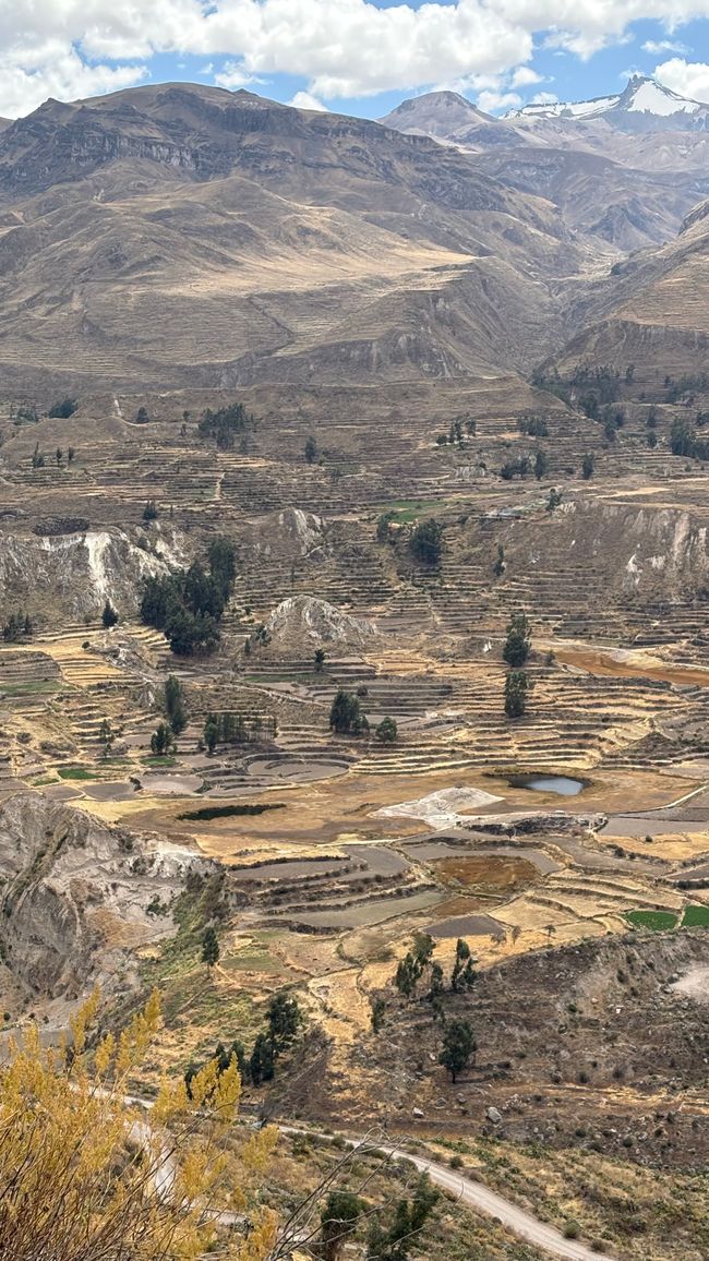 Perù_2025 - Giorno 9: Canyon del Colca e Croce del Condor
